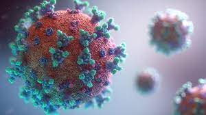 2019 novel coronavirus, wuhan seafood market pneumonia virus) — оболочечный одноцепочный. Sars Cov 2 Isolation Of Neutralising Antibodies German Center For Infection Research