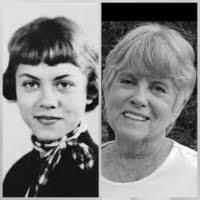 7203150_fbs.jpg?cb=20251127095522