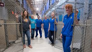 Santa rosa is the largest city in sonoma county, california, and fifth largest in the san francisco bay area. Santa Rosa County Animal Shelter Empty Thanks To Surge Of Adopters