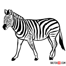 Check spelling or type a new query. How To Draw A Zebra Wild Animals Sketchok Easy Drawing Guides