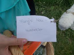Der englische wichtel ( engl. Party Planung Harry Potter Pflege Magischer Geschopfe Schatzsuche Lilys Kreativblog
