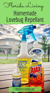 Florida Living Love Bug Repellant Spray The Castle Run Bug Repellent Spray Bug Repellent Repellent