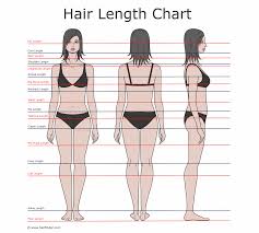 Number 3 haircut means 3/8 inches hair on the scalp while hair length numbers 4 will certainly offer you 1/2 inch duration. How To Describe Hair Lengths Hair Length Chart And The Difinition For The Most Common Lengths