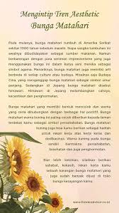 Simbol matahari, bulan, hujan, awan, meteor, payung, air panas, salju, es kristal. Floweradvisor Mengintip Tren Aesthetic Bunga Matahari Milled