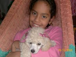 Vicky, mas que una mascota, una alegría en mis días... — Steemit