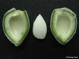 Maybe you would like to learn more about one of these? How To Prepare Green Almonds The Hungry Mouse