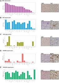 Check spelling or type a new query. Prognostic And Therapeutic Value Of The Hippo Pathway Rabl6a And P53 Mdm2 Axes In Sarcomas Oncotarget