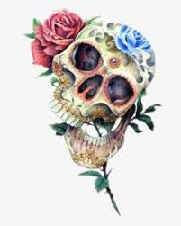 4.8 out of 5 stars 7. Skull Skulls Roses Skullsandroses Tattoo Tattooart Roses On Mexican Skull Hd Png Download Transparent Png Image Pngitem
