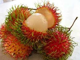 The cursed captain has a 50% chance of spawning every night. Funky Fruits You Have To Try Jo Fitzsimons