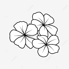 Doodle in bianco e nero fiori selvatici, api e farfalle. Fiore Clipart In Bianco E Nero Clipart Fiore Bianco E Nero Combinazione Linea Png E Vector Per Il Download Gratuito