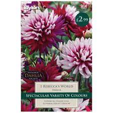 Along with each saguaro cactus picture, we've included a saguaro fact. Dahlia Rebecca S World Capital Gardens