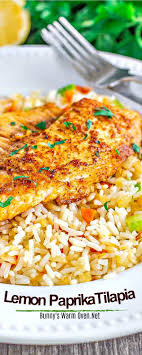 Lemon Paprika Tilapia Tilapia Recipes Easy Seafood Recipes Seafood Dinner