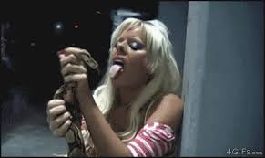 Etiquette of correct sexual harassment learn from animals Story Viewer -  Porn Image