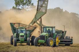 Zimbabwe's food insecurity is not just about food production, but access too. Wwf Report Current Food Production Is Unsustainable News Centre University Of Kent
