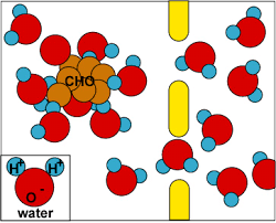 Simple diffusion is the process by which solutes are moved along a concentration gradient in a solution or across a semipermiable membrane. 7 1 The Cytoplasmic Membrane Biology Libretexts