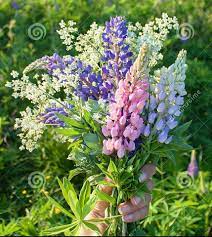 See more ideas about wedding bouquets, wedding, floral wedding. Wildflower Style Wedding Bouquet Of Purple Lavender Pink Lupine Wedding Bouquets Pink Wedding Bouquets Purple Wedding Bouquets