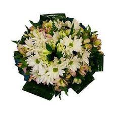 Send flowers online san francisco. San Francisco Zapotitlan Dreamer Bouquet Flower Delivery Dreamer Bouquet Flower Delivery San Francisco Zapotitlan Online Florist San Francisco Zapotitlan