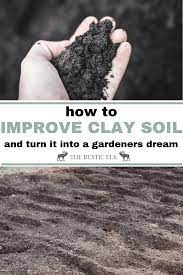 How To Turn Clay Soil Into Gardening Gold Clay Soil Best Garden Soil Garden Soil