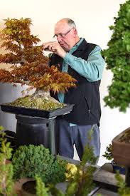 Pinus sylvestris bonsai by mauro stemberger. Demonstrations U S National Bonsai Exhibition