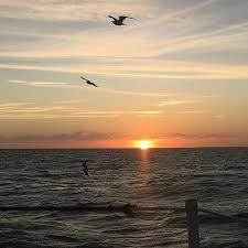 We did not find results for: Cross Country Campground Prices Reviews Denver Nc Tripadvisor
