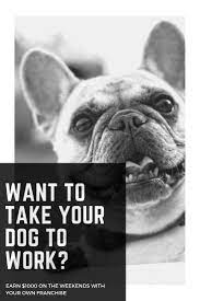 Pin On Antler Dog Chews