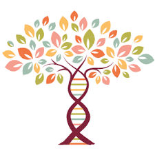 5-B: Beverly Guthrie