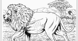 Think of these colouring pages as exercise for your soul and an oasis of mental relaxation. Realistic Lion Adult Coloring Pages Free Realistic