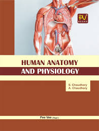 Also binding of the pages of the book is one of the worst. Human Anatomy And Physiology Medical Nursing Books Online S Vikas Gnm Pv Books