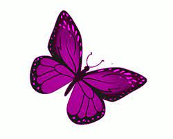Butterfly Violet Butterfly Gif Butterfly Violetbutterfly Freedom Discover Share Gifs Butterfly Gif Violet Butterfly Butterfly