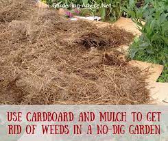 The No Dig Vegetable Garden Dig Gardens Mulch Vegetable Garden