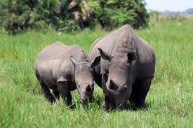 Check spelling or type a new query. Uganda Urlaub In Zwei Wochen Urlaub In Uganda
