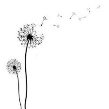 May allah shower you countless blessings upon you and your family. Pusteblume Malvorlage Pusteblume Blumen Malvorlagen
