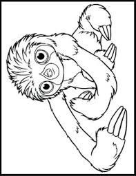 They will definitely pique the interest in him. Sloth Printable Coloring Book Pages For Kids Boys Girls All Ages By Lapiiin