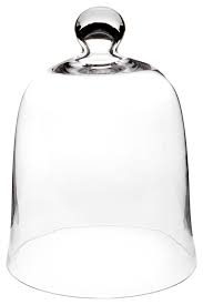 Glass Bell Jar 8 5 X 11 Glass Bell Jar Glass Dome Display Glass Cloche Display