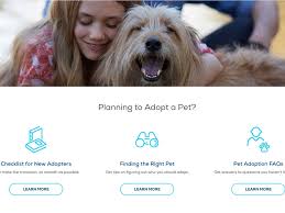 Find an animal shelter or rescue group. Reasons Why You Should Adopt A Pet From A Shelter