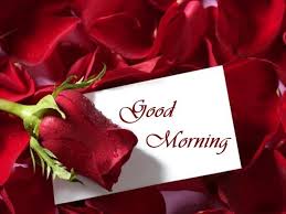 I cannot go on #2: Good Morning My Love Jaclyn Case Loves A Good Morning Pounded
