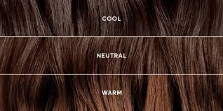 It's not too dark, not too light, but just right. Is My Hair Color Warm Or Cool