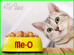 Selamat pagi semua para pecinta kucing sedunia. 10 Merk Makanan Kucing Terbaik Yang Paling Laris Dan Berkualitas Di Dunia Ekor9 Com Ekor9 Com