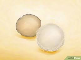 Comment Identifier Les Poches D œufs D Araignees