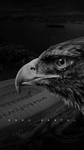 Siyah beyaz 3 boyutlu, taş desenli ve diğer dekoratif modelleriyle duvar kağıtları n11.com'da! Besiktas J K Official Web Site