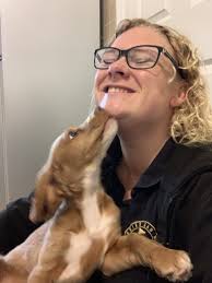 Puppy kindergarten helps with both socialization and training. Dog Behaviour Trainer Coventry Puppy Classes 121 Personal Trainingcarrie S Canines Friends