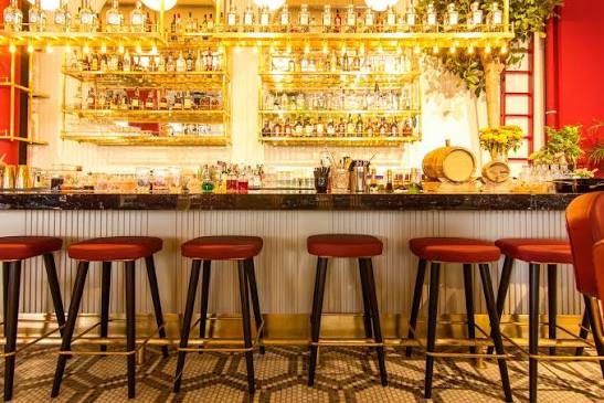 Виды баров и их особенности | Bartender