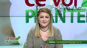 Plantele ne ofer vitamine grsimi micro i macroelemente cear amidon proteine celuloz e tc. Ce Vor Plantele Cristina Ghibu 03 03 2021 Partea 1 Youtube
