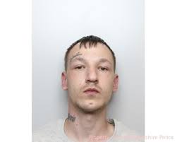 Killer driver jailed for ten years for manslaughter