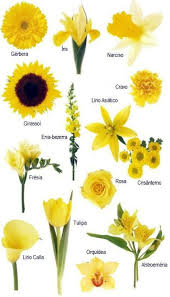10 Kinds Of Flowers You Can Easily Offer Your Other Half On Her Birthday Party Wedding Flowers Yellow Wedding Flowers Flower Bouquet Wedding