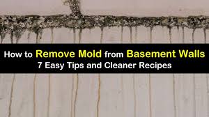 We did not find results for: 7 Quick Ways To Remove Mold From Basement Walls