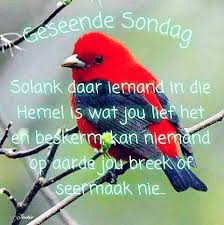 Pin By Kosie Jonker On Afrikaans Afrikaans Bible Apps Afrikaans Quotes