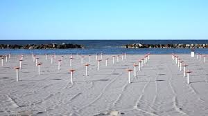 One of the fishermen told the following story: Vintage Crowded Beach Stock Video Footage 4k And Hd Video Clips Shutterstock