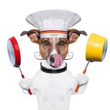 Dog cook chef stock image. Image of lunch, background