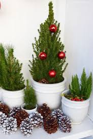 Meine Erste Weihnachtsdeko Und Deko Tipps Fur Euch Mrs Greenery Weihnachtsdekoration Weihnachtsdeko Draussen Weihnachten Dekoration